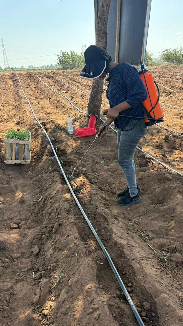 Sustainable Agriculture Initiative - Image 20